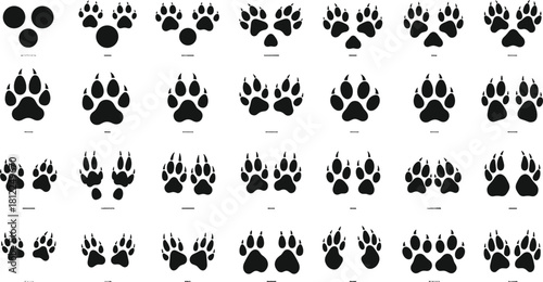 Wildlife Animal Paw Prints Silhouette Collection Dog Wolf Canine Tracks Footprints Paces Steps Identification Tracking Nature Education Biology Isolated White Background