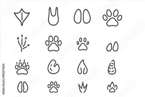 Diverse animal tracks and footprints including paws, hooves, and bird prints