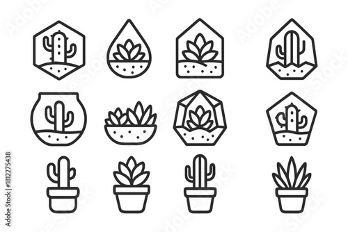 Set of potted succulents and desert cacti plants in geometric terrariums