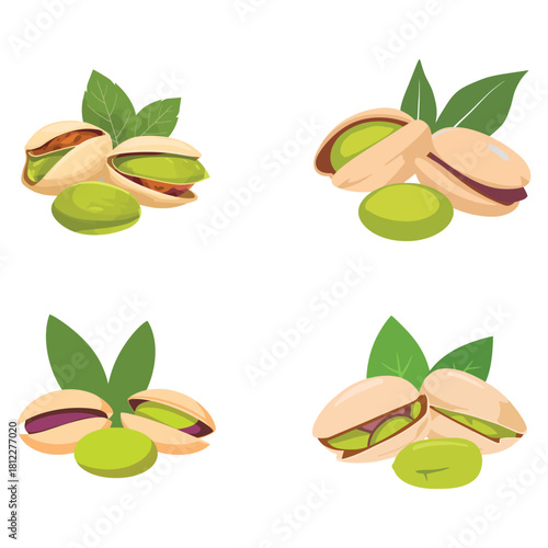 Flat Vector Illustration of Opened Pistachio Nuts with Bright Green Kernel and Fresh Leaves Isolated on White