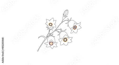 A minimalist line art illustration of bell-shaped flowers on a stem with a single bud, featuring subtle brown accents in their centers.