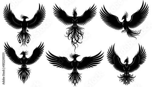 Elegant phoenix silhouettes spreading wide decorative wings. The silhouettes are created with very clean lines and carefully balanced proportions, highlighting the high quality of the work