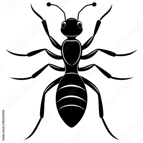 Black ant silhouette with white stripes on abdomen
