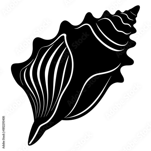 Black conch shell silhouette with white interior lines