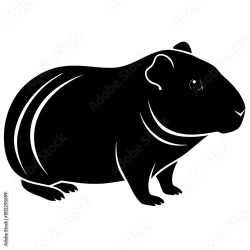 Black guinea pig silhouette on white background rodent