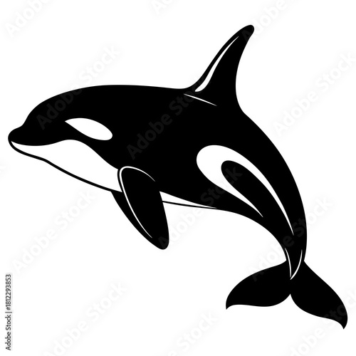 Black Orca Killer Whale Silhouette on White Background