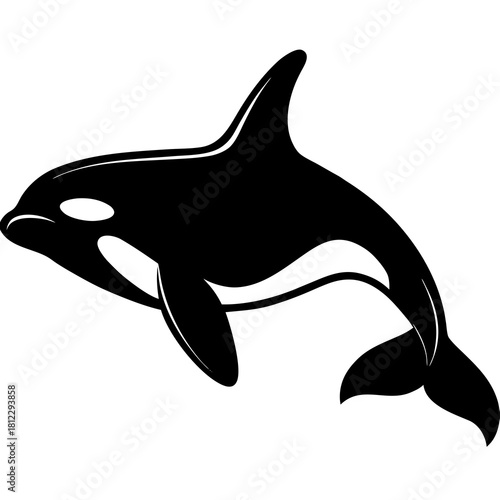 Black Orca Killer Whale Silhouette Isolated on White