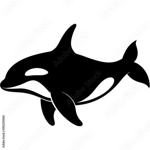 Black Orca Killer Whale Silhouette Graphic marine mammal