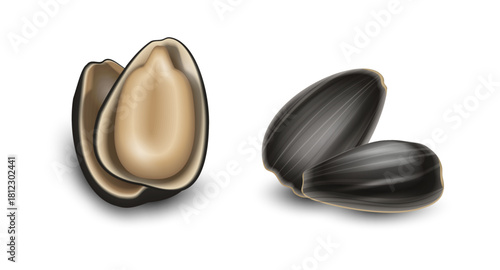 Sunflower seeds, whole and shelled on white background, close-up.