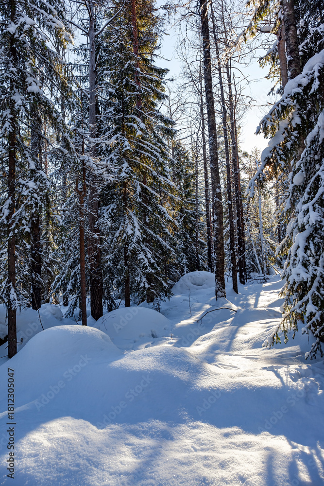 Fototapeta premium Lapland. Finland. Sunset.