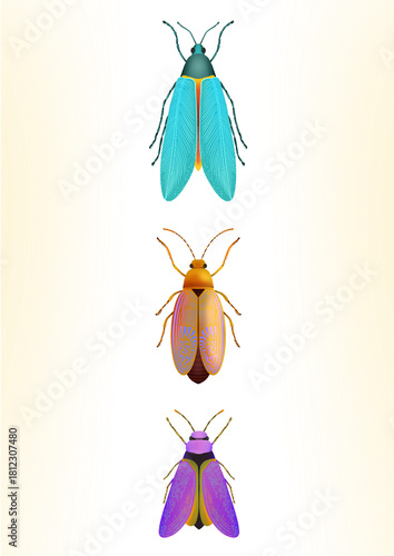 set of insects