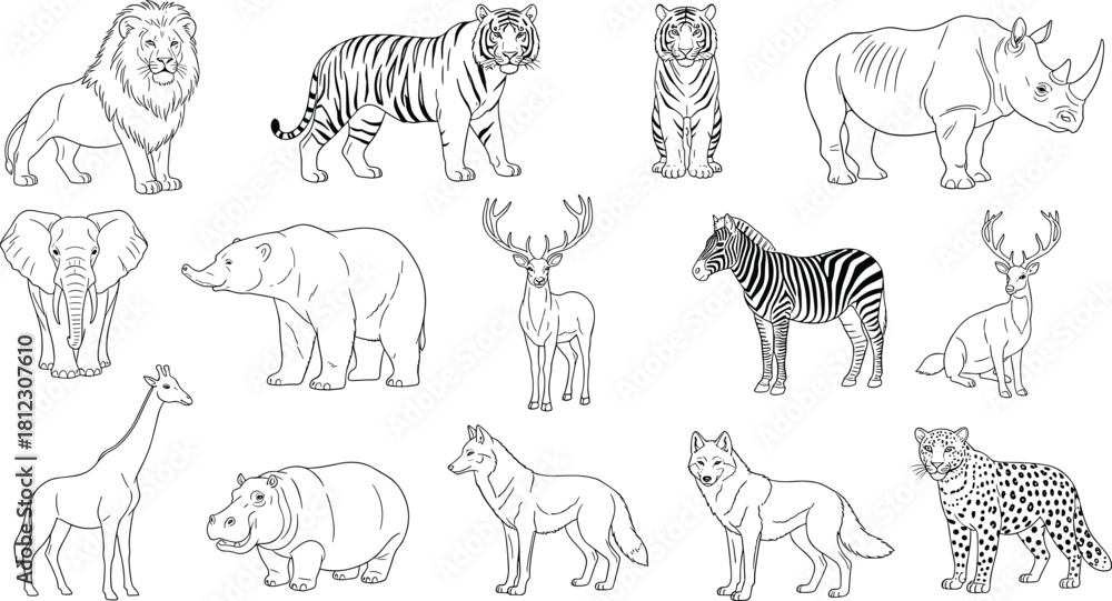 Fototapeta premium Detailed Outline Vector Graphics Set of Wild Safari Animals for Education, Wildlife Themes, and Children's Designs.