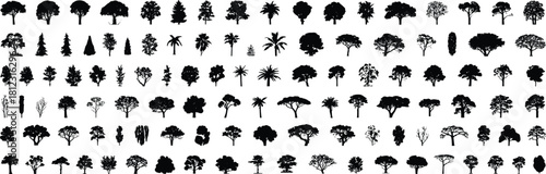 Massive Vector Collection of Diverse Tree Silhouettes including Conifers, Deciduous, Palm Trees, and Shrubs, Perfect for Landscape Architecture Design