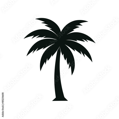 silhouette of palm tree