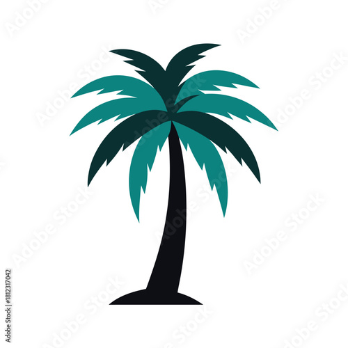 palm trees silhouette