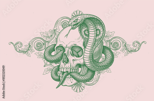 Vintage Baroque Skull Ornament Engraving