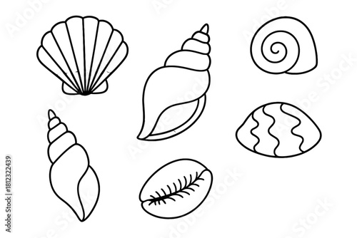 Collection of various sea shells including scallop and spiral conch shells for summer design