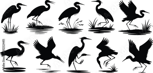 PrintA vector set of heron bird silhouettes, including flying, wading, and standing poses with marsh grass and water reflections, representing wetland nature and wildlife.