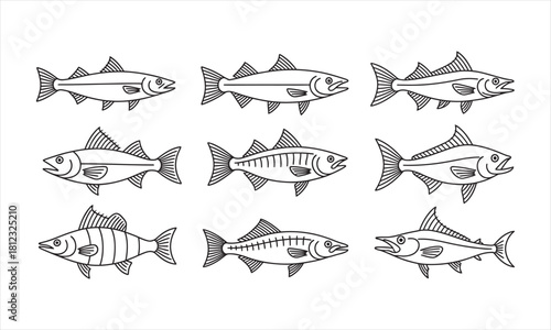 Nine outlined fish swim gracefully with various fin structures against a bright white background