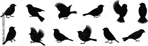 PrintA vector set of twelve detailed sparrow bird silhouettes in various dynamic poses including standing, taking flight, and chirping, illustrating wildlife and natural elements.