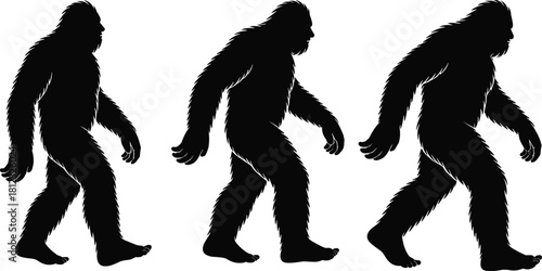 PrintBigfoot silhouette set, three different side views of the legendary Sasquatch creature walking, representing mythology, folklore, wilderness, and mysterious cryptid animals.