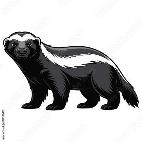 honey badger