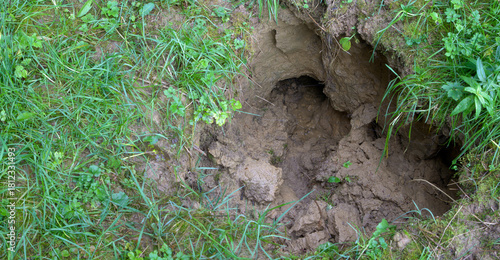 After a heavy rainstorm, a deep hole has opened up in the field, crisscrossed by water channels that have undermined the soil. The erosion threatens the use of the farmer's machinery.