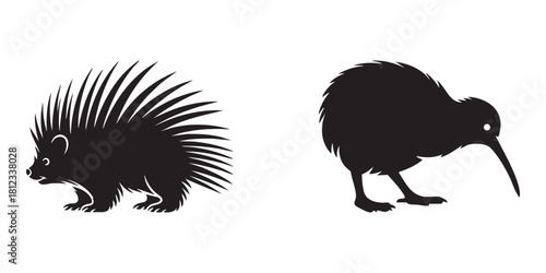 vector illustration of a hedgehog