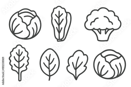 Collection of outline icons featuring healthy green vegetables and leafy salad ingredients