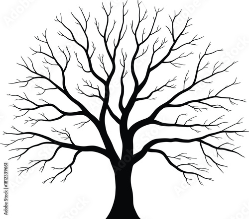 Bare Tree Silhouette Vector Illustration with Detailed Branches, Representing Deciduous, Winter, or Leafless Nature, Seasonal Change, and Natural Landscape Graphics.