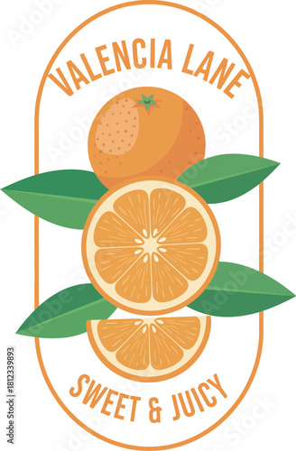 Valencia lane sweet and juicy orange fruit vintage logo Vector Illustration 