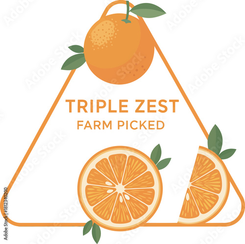 Triple Zest Farm Picked oranges in a triangle frame Vector Illustration 