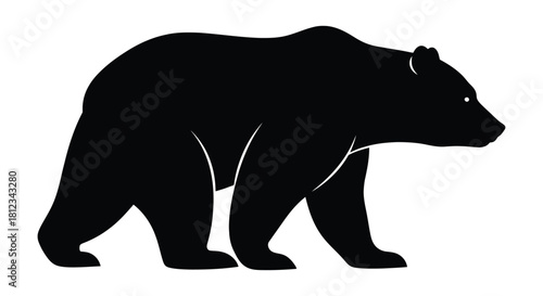 Dynamic abstract geometric shapes composed of bold lines and contrasting colors in a striking silhouette