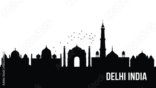 Iconic delhi india skyline silhouette with birds in flight