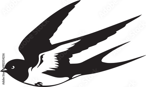 Silhouette of a graceful barn swallow bird in flight showing wing and tail detail with black and white contrast