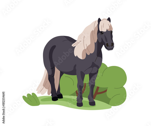Pony, small horse in nature. Purebred foal standing in grass field. Miniature equine animal, thoroughbred with mane and tail, in countryside. Flat vector illustration isolated on white background.