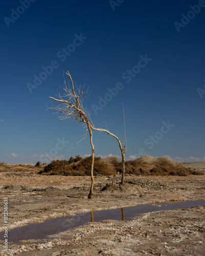 Siwa Oasis in Egypt 