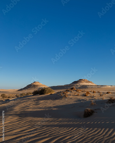 Siwa Oasis in Egypt 