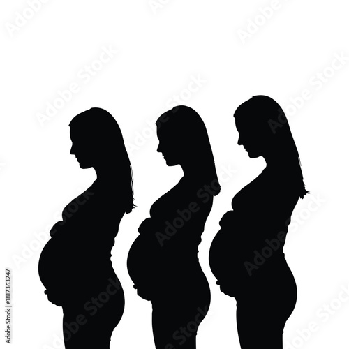 Silhouettes depicting the stages of pregnancy from early to full term