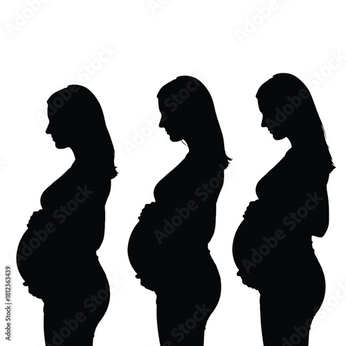 Silhouettes depicting a woman s body through the stages of pregnancy