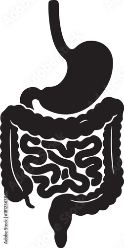 Black Silhouette Of Human Digestive System Stomach And Intestines Keywords: digestive system, stomach, intestines, colon, small intestine, large intestine, human also transparent background