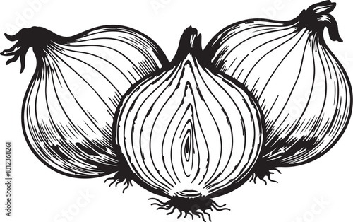 Black and White Illustration of Three Onions, One Halved, Showing Layers and Roots Keywords: onion, vegetable, food, cooking, ingredient, produce, organic, healthy, also transparent background