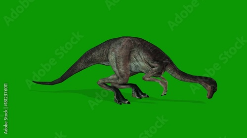 3D Dinosaur Animation Green Screen Video-Dinogall Eating Scene Right