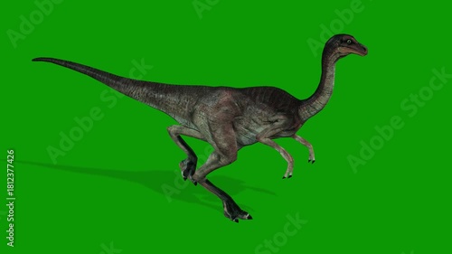 3D Dinosaur Animation Green Screen Video-Dinogall Run Fast Right