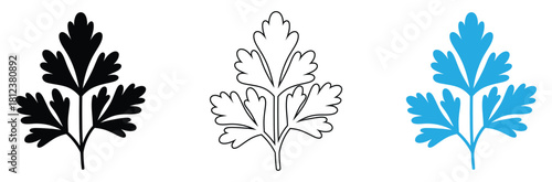 Fresh parsley sprig icons in black, outline and blue for your culinary designs, bringing a touch of organic freshness and simple elegance to your projects
