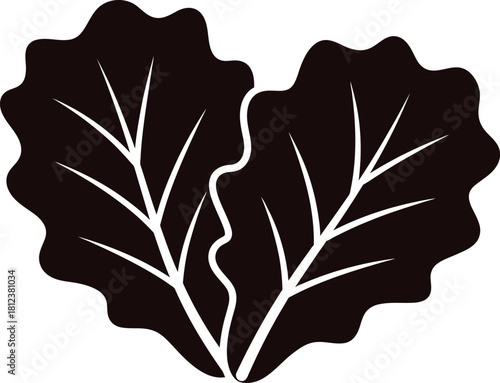 Illustration of silhouette of fresh lettuce for healthy eating