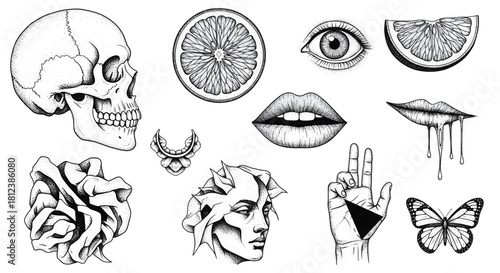 A captivating collection of handdrawn tattoo elements, featuring skulls, citrus, eyes, and various symbols, all meticulously crafted in a striking black and white style isolated on