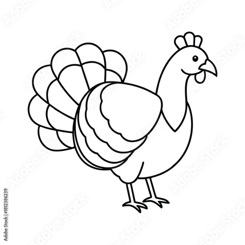 vector illustration of chicken