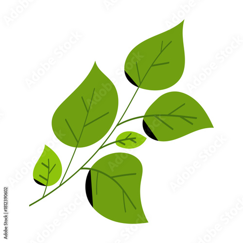Fresh oregano herb sprig in a clean hand drawn vector style. Green culinary leaves for cooking, garden themes, recipe design, and organic food projects. Perfect for herb and kitchen graphics