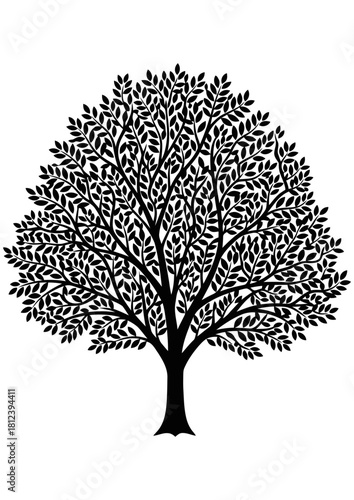 Detailed black and white silhouette of a mature deciduous tree with a full, dense canopy of leaves, isolated on